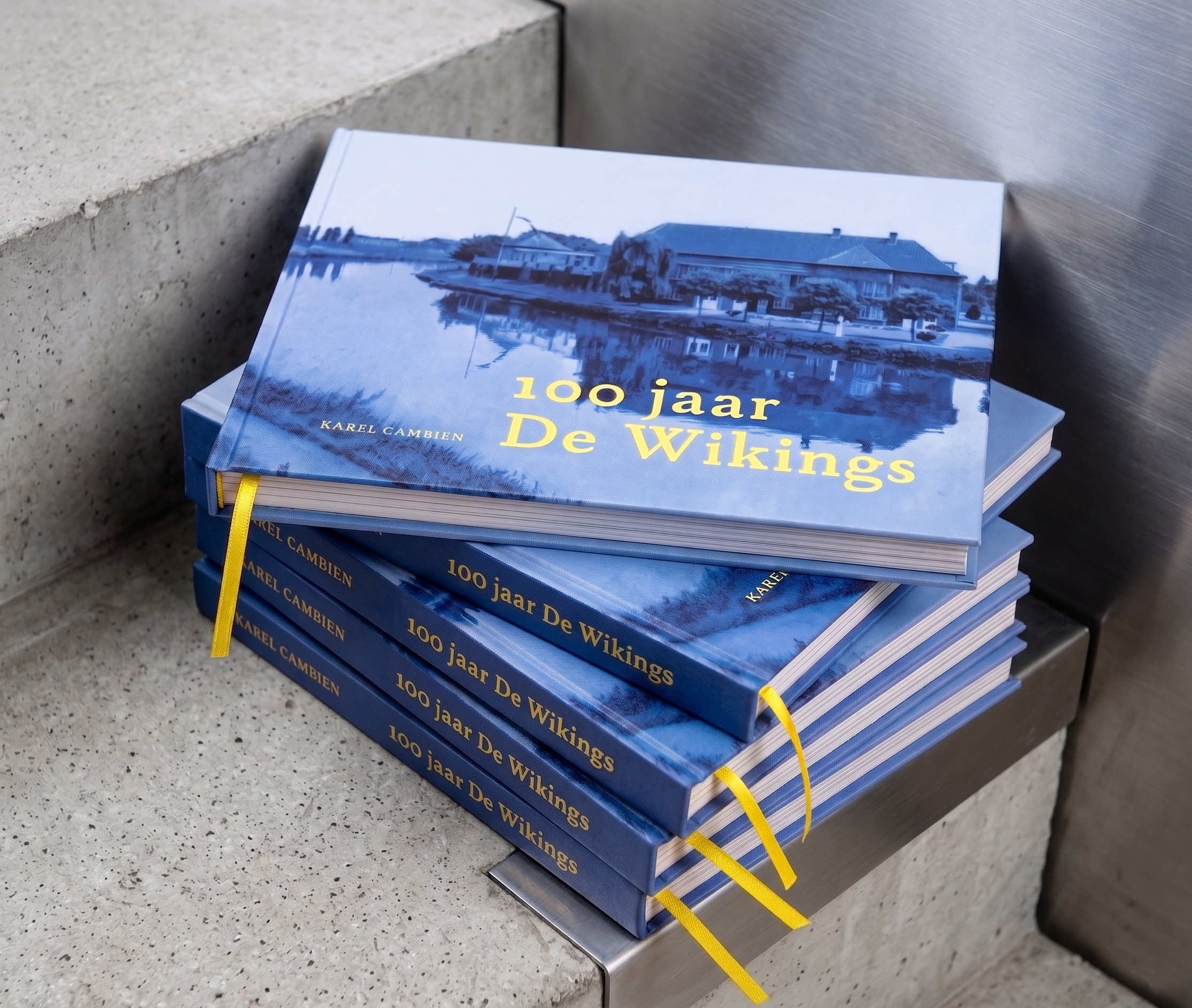 Wikings_cultuurboek02